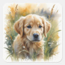 Search for puppy stickers Golden retriever