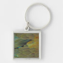 Search for surface key rings Nature