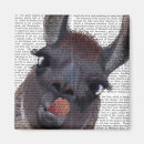 Search for llama magnets Cute llamas