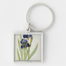 Search for pierre joseph redoute key rings Illustration