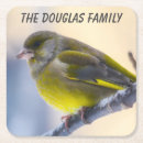 Search for birds coasters Pet