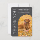 Search for grey dog cards Pet