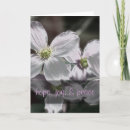 Search for the roman cards Bible