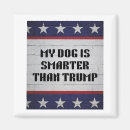 Search for than magnets Political
