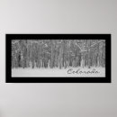 Search for panoramas posters Black and white