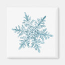 Search for bare tree magnets Snow