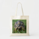 Search for tortoise stuff bags Cute