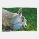 Search for sheep tea towels Cute