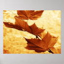 Search for fall colour art Brown