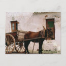 Search for carts postcards Transportation