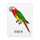 Search for parrot magnets Pet