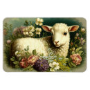 Search for lamb magnets Lovely