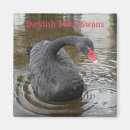 Search for beak square magnets Black