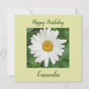 Search for designer paper cards Daisy