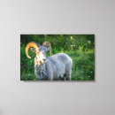 Search for horns art Landscape