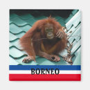 Search for borneo magnets Cute