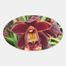 Search for beautiful orchid stickers Floral