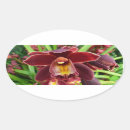 Search for beautiful orchid stickers Floral
