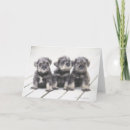 Search for small waist cards Horizontal