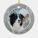 Search for border collie puppy christmas tree decorations Pet