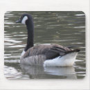 Search for canada mousepads Wildlife