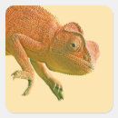 Search for reptile birthday stickers Fun