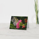Search for tropical butterfly cards Macro