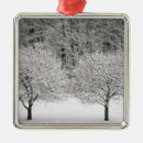 Search for natural christmas tree decorations Forest