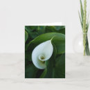 Search for rest cards White