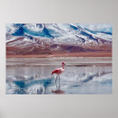 Search for bolivia art Andes