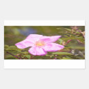 Search for shrubs stickers Garden