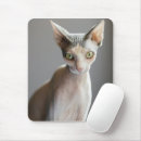 Search for hairless mousepads Feline
