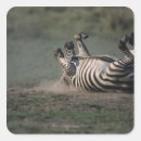 Search for mara stickers Nature