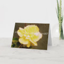 Search for wifes birthday cards Roses