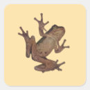 Search for ribbit stickers Fun
