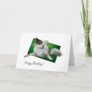 Search for australian cattle dogs cards Herding