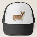 Search for corgis hats Animal