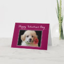 Search for poodle valentines day cards Pet