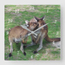 Search for australia photography Green