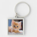 Search for blue eyes key rings Domestic animals