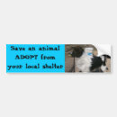 Search for humane photography Pet