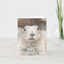 Search for prairie dog cards Wild