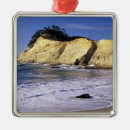 Search for oregon coast christmas tree decorations Pacific ocean