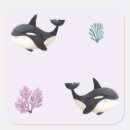 Search for orca whale stickers Sea life