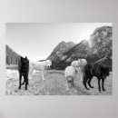 Search for rivers posters Stream