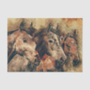 Search for wild horse tissue paper Decoupage