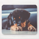 Search for rottweiler electronics Adorable