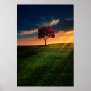 Search for red trees posters Landscape