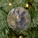 Search for koala bear christmas tree decorations Australian