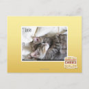 Search for ha ha postcards I can has cheezburger